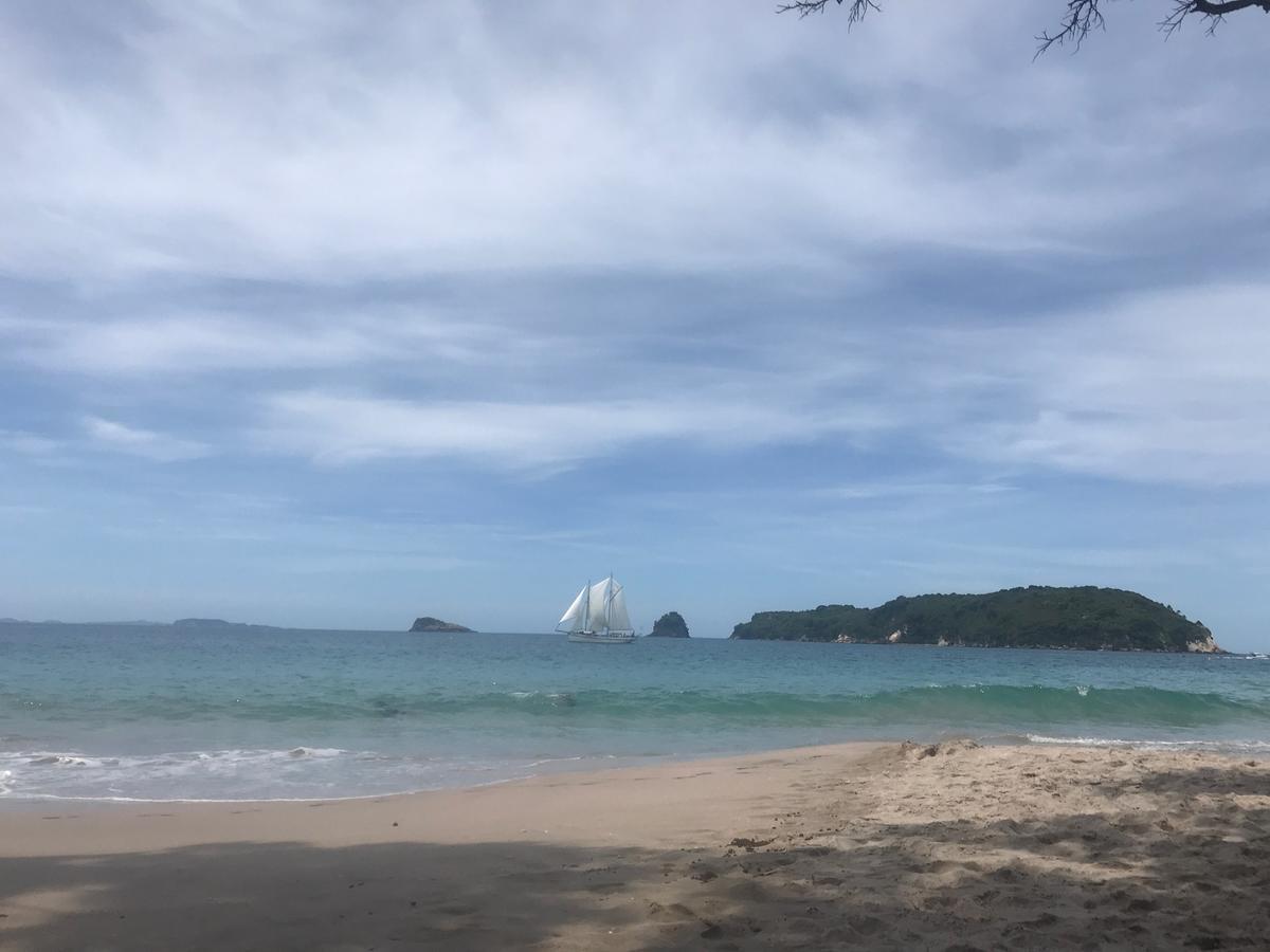 Hahei Getaway Appartamento Esterno foto